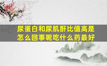 尿蛋白和尿肌酐比值高是怎么回事呢吃什么药最好