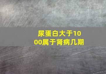 尿蛋白大于1000属于肾病几期