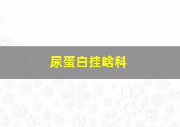 尿蛋白挂啥科