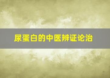 尿蛋白的中医辨证论治