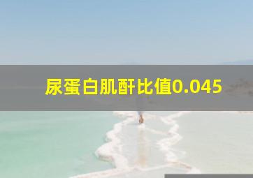 尿蛋白肌酐比值0.045