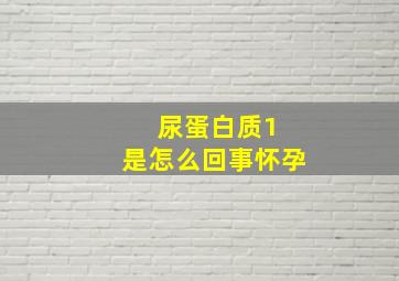 尿蛋白质1+是怎么回事怀孕