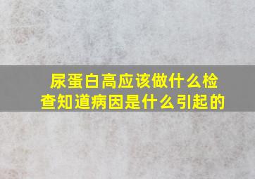 尿蛋白高应该做什么检查知道病因是什么引起的