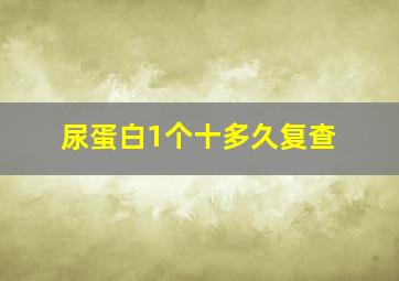 尿蛋白1个十多久复查