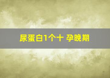 尿蛋白1个十 孕晚期