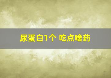 尿蛋白1个+吃点啥药