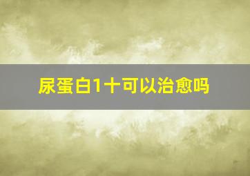 尿蛋白1十可以治愈吗