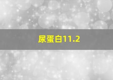 尿蛋白11.2