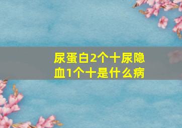 尿蛋白2个十尿隐血1个十是什么病