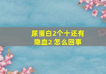 尿蛋白2个十还有隐血2+怎么回事