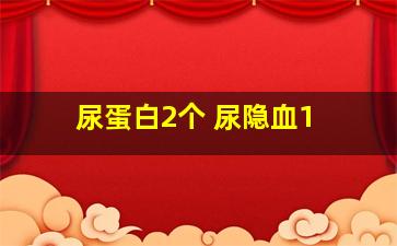 尿蛋白2个+尿隐血1+