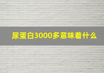 尿蛋白3000多意味着什么