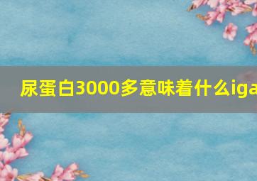 尿蛋白3000多意味着什么iga