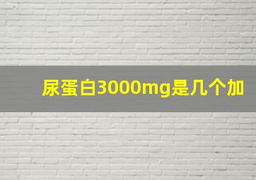 尿蛋白3000mg是几个加