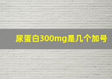 尿蛋白300mg是几个加号