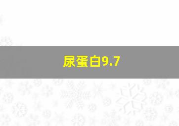 尿蛋白9.7