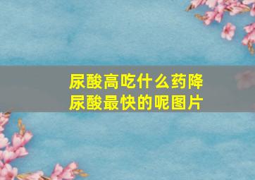 尿酸高吃什么药降尿酸最快的呢图片