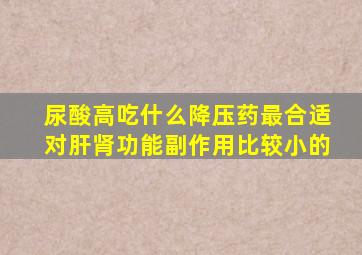 尿酸高吃什么降压药最合适对肝肾功能副作用比较小的