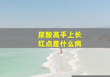 尿酸高手上长红点是什么病