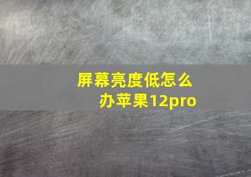 屏幕亮度低怎么办苹果12pro