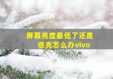 屏幕亮度最低了还是很亮怎么办vivo