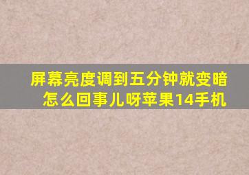 屏幕亮度调到五分钟就变暗怎么回事儿呀苹果14手机