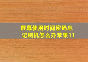 屏幕使用时间密码忘记刷机怎么办苹果11