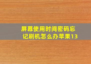 屏幕使用时间密码忘记刷机怎么办苹果13