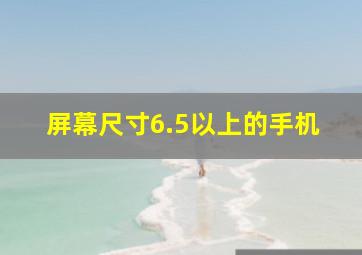 屏幕尺寸6.5以上的手机