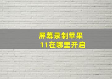 屏幕录制苹果11在哪里开启