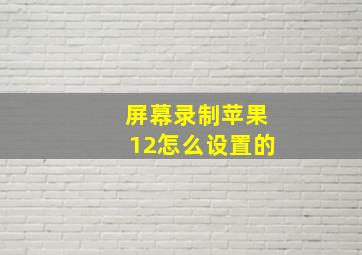 屏幕录制苹果12怎么设置的