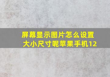 屏幕显示图片怎么设置大小尺寸呢苹果手机12