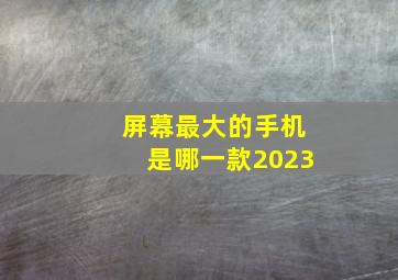 屏幕最大的手机是哪一款2023