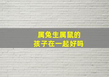 属兔生属鼠的孩子在一起好吗