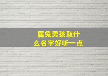 属兔男孩取什么名字好听一点