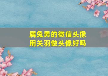 属兔男的微信头像用关羽做头像好吗