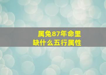 属兔87年命里缺什么五行属性