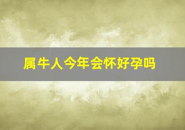 属牛人今年会怀好孕吗