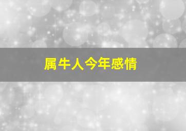 属牛人今年感情