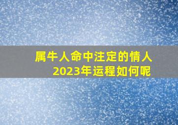 属牛人命中注定的情人2023年运程如何呢