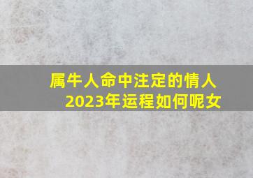 属牛人命中注定的情人2023年运程如何呢女