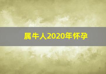 属牛人2020年怀孕