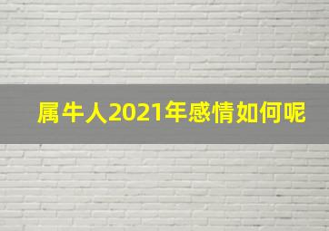 属牛人2021年感情如何呢