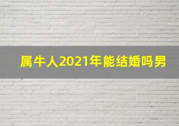 属牛人2021年能结婚吗男