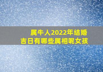 属牛人2022年结婚吉日有哪些属相呢女孩