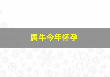 属牛今年怀孕