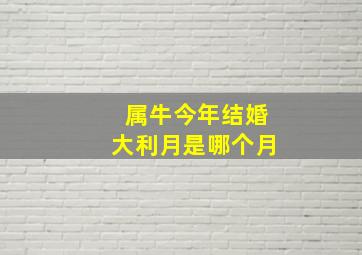 属牛今年结婚大利月是哪个月