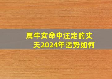 属牛女命中注定的丈夫2024年运势如何