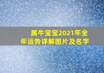 属牛宝宝2021年全年运势详解图片及名字