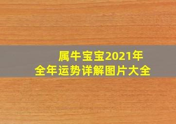 属牛宝宝2021年全年运势详解图片大全